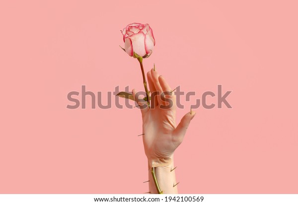 Hand holds a prickly rose with thorns. Creative\
concept of love, broken\
heart