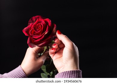 The hand holds a rose afflicted with disease on a black background.