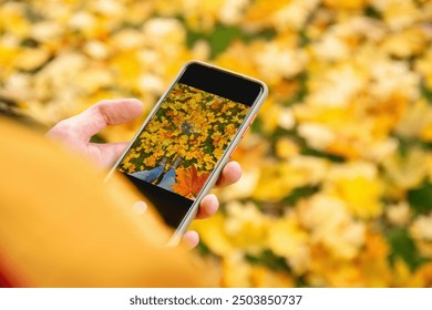 Hand holds a smartphone capturing photo of vibrant yellow autumn leaves on the ground, with a blurred background