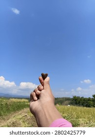 A hand holds a tiny, dark heart shaped object from soil. Against a vast, bright blue sky with soft white clouds over a field.