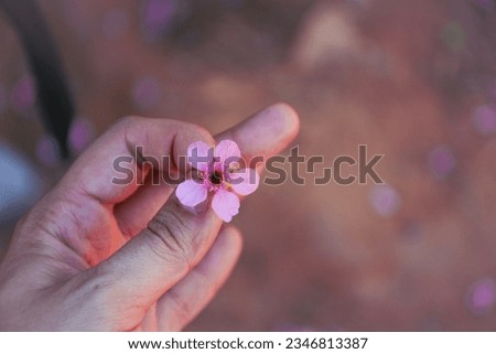 A hand holds up a tiny flower agains a blurred background, light pink, traditional japanesse artistic techniques, selective focus, strong emotional impact