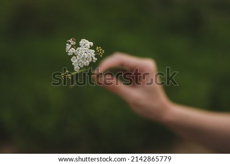 Similar – Image, Stock Photo [AM106]