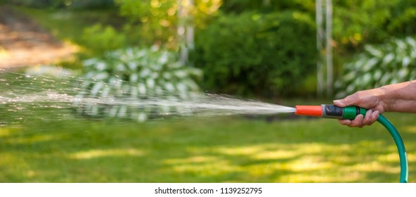 Hand Hose Watering Jet Water Pours Stock Photo 1139252795 | Shutterstock