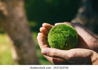Hand of human holding earth at garden in morning, ecology and world sustainable environment concept.