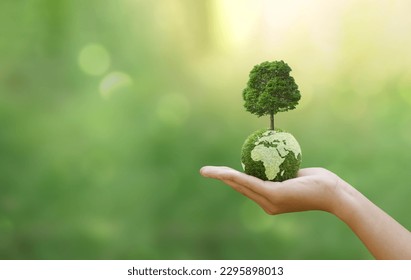 Hand of human holding green earth with tree for ESG, co2, and net zero.Concept of World sustainable environment, Save our Planet, World Environment Day, World Earth Day and Climate change. 