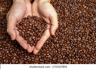 Hand Image, Carrying A Roasted Coffee Bean