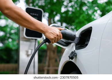 Hand inserting EV charging plug to electric vehicle in focus shot with blurred background of outdoor natural greenery. Progressive sustainable energy powered electric charging station for rechargeable