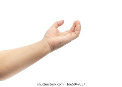 手图片 库存照片和矢量图 Shutterstock