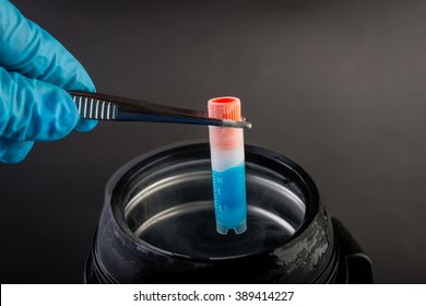 Anal exams video clips Free lab sperm and egg footage