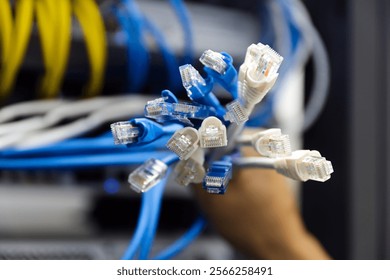 Hand and LAN internet network cable or RJ45 UTP Cat6 fiber optic Ethernet cables for computer data link wifi connect cloud computing server networking devices system switch or hub router technology.
