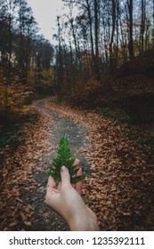 Hand and Leaf