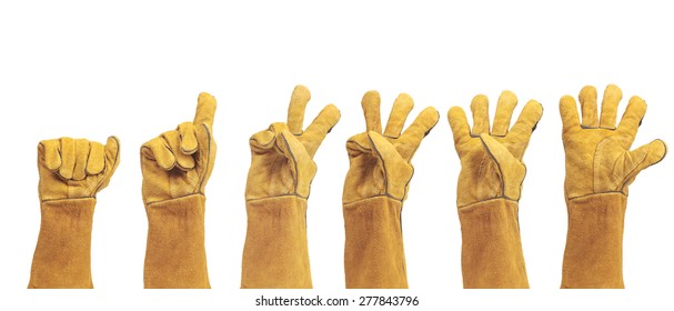 hand in leather work gloves Isolated on a white background.count number