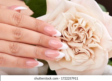 Hand and long artificial french manicured nails   beige rose flower