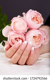 Hand and long artificial french manicured nails holding pink rose flowers