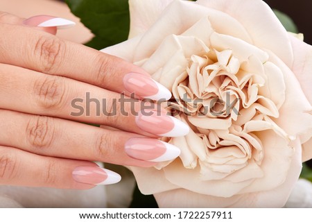 Hand with long artificial french manicured nails and beige rose flower