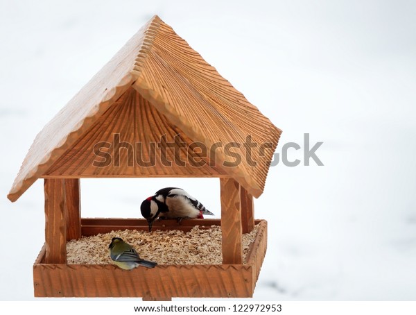 Hand Made Animal Feeder Woodpecker Stock Photo Edit Now 122972953