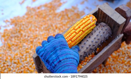 Corn Removal Imagenes Fotos De Stock Y Vectores Shutterstock