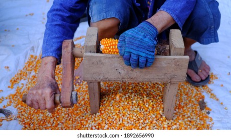 Corn Seeds Remover Images Stock Photos Vectors Shutterstock