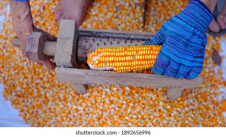 Corn Seeds Remover Images Stock Photos Vectors Shutterstock
