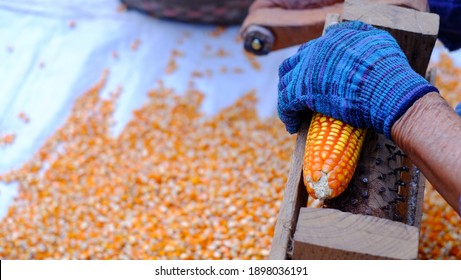 Corn Seeds Remover Images Stock Photos Vectors Shutterstock