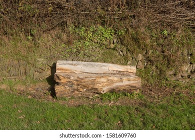 Royalty Free Log Seat Stock Images Photos Vectors Shutterstock
