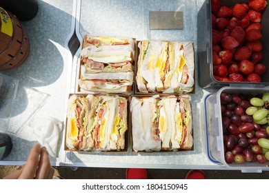 hand made sandwich set for picnic 