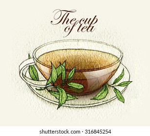 Hand made sketch of tea or coffee cup made in vintage style. Fullsize raster artwork. - Shutterstock ID 316845254