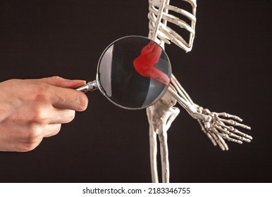 Hand with magnifying glass over elbow bones of human skeleton with red point. Humerus, radius, ulna. Arm pain caused by overuse, injury, chronic diseases. High quality photo - Shutterstock ID 2183346755