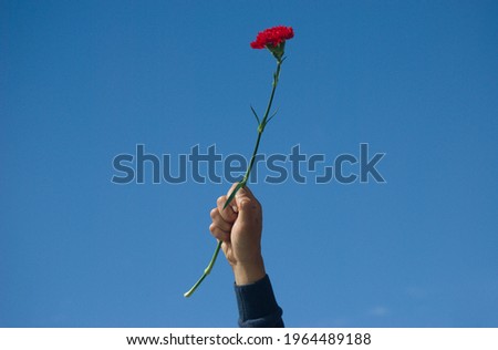 Hand of a man in the air holding a red carnation with the sky behind