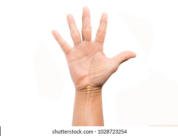 Hand man on white background.