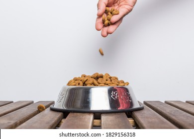 hand of a man pouring dog food into a silver bowl on a wooden table on a white background - Powered by Shutterstock