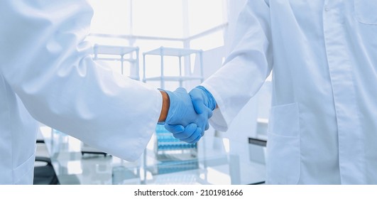 Hand In The Medical Glove (handshake)