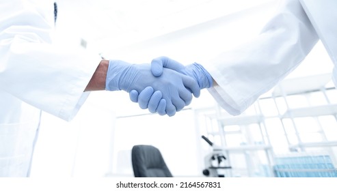 Hand In The Medical Glove (handshake)