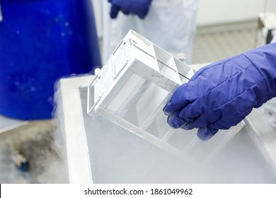 Hand With Medical Glove Holding A Bottle Vaccine From Ice Storage. Medication Treatment At Nitrogen Freeze.