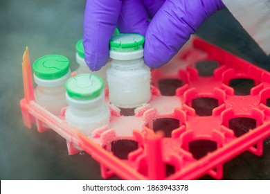 Hand With Medical Glove Holding A Bottle Vaccine From Ice Storage. Medication Treatment At Nitrogen Freeze.