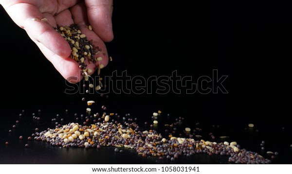 Hand Mixed Fenugreek Mustard Seed Fennel Stock Photo Edit Now 1058031941