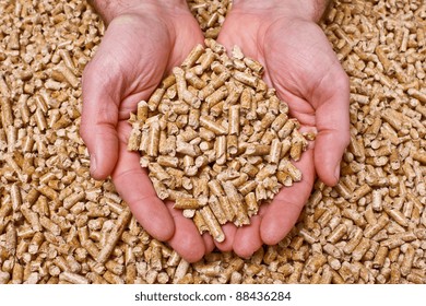 Hand With Natural Wood Pellet