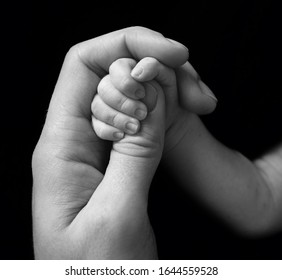the hand of a newborn baby holds dad's hand by the finger - Shutterstock ID 1644559528