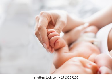 Hand of a newborn baby. Mom holds the baby by the hand. Healthy baby, hospital and happy motherhood concept. Healthy and medical concept. Happy pregnancy and childbirth. Children's theme.  - Shutterstock ID 1913259208