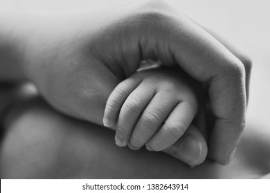 Hand of the newborn child in caring hands of the mother. Black and white image.