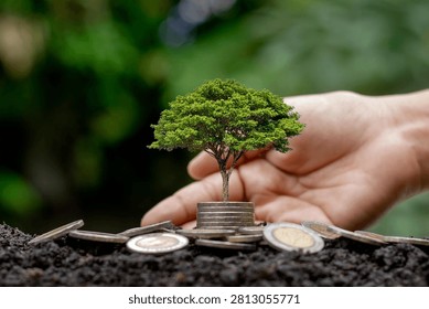 Hand nurturing small tree on coins