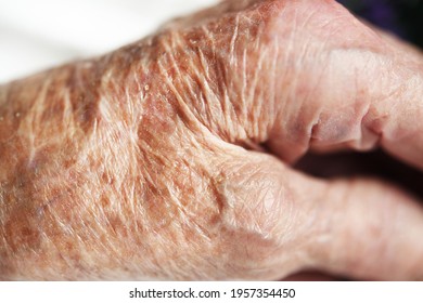 Hand Of Old 90 Year Old Woman Grandmother.