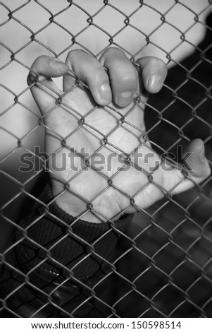 Similar – Image, Stock Photo wetted feet Fishing net