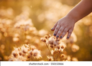 The hand on the flower