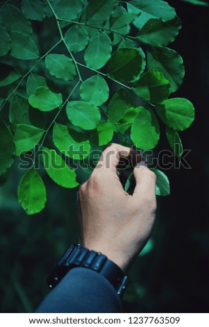 Similar – Image, Stock Photo souvenir Lifestyle Style