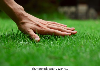 Hand on green lush grass - Shutterstock ID 71264710