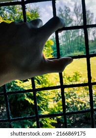 Hand On Metal Bars Looking Outside