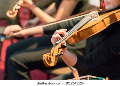 Hand on the strings of a violin