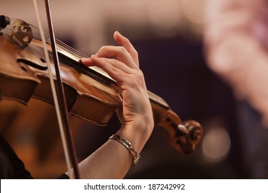 Hand on the strings of a violin