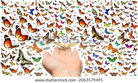 Hand with open palm and butterflies isolated on a white background